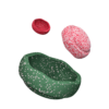 Stapelstein-Blush-Special-Trilogy-Set