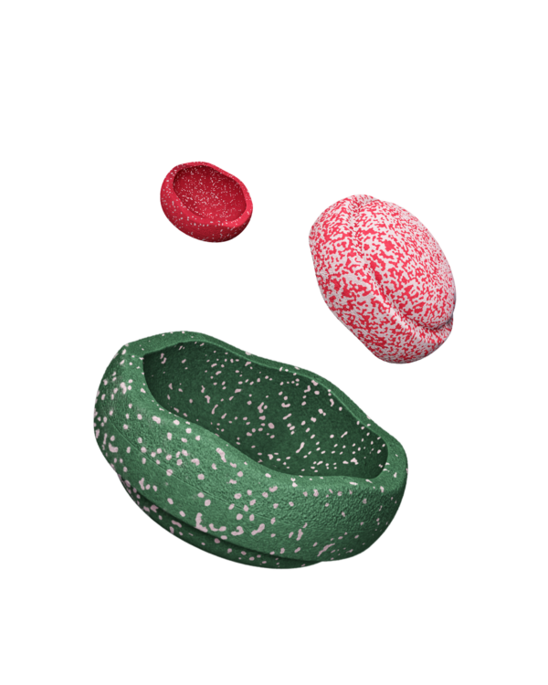 Stapelstein-Blush-Special-Trilogy-Set